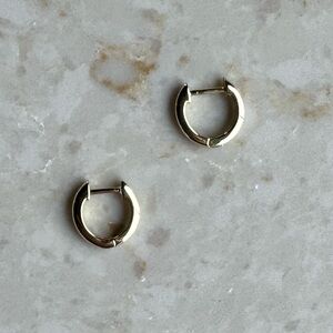 NWOT Goop Huggie Hoop Earrings